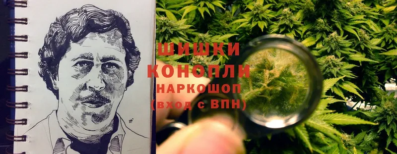 Бошки Шишки SATIVA & INDICA  закладка  Пушкино 